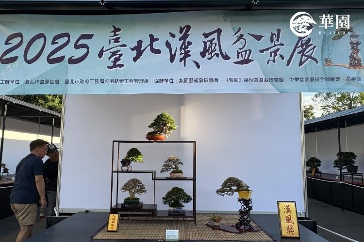 【華園盆栽展覽系列 上集】與樹友共築全國盆栽舞台夢：全國華風盆栽展的感動時刻
