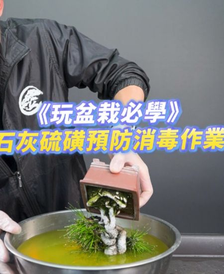 陪伴型教學服務 一對一陪伴型教學,職人即時互動學習、解答養護問題