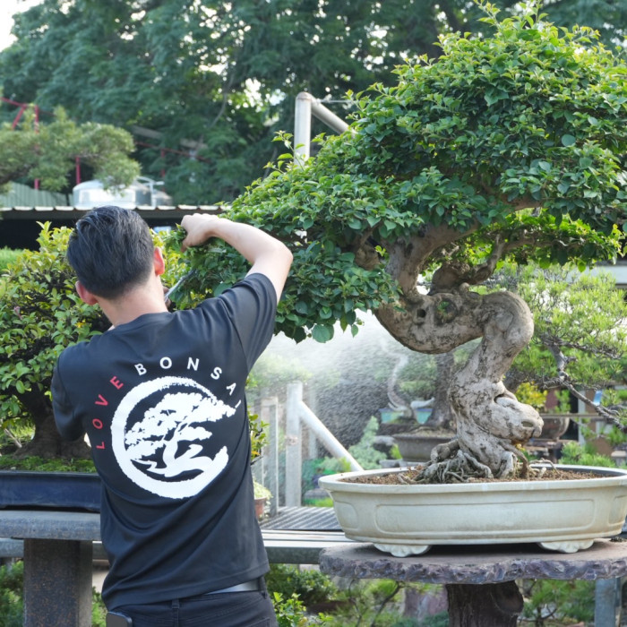 豪宅居家企業植栽佈置規劃